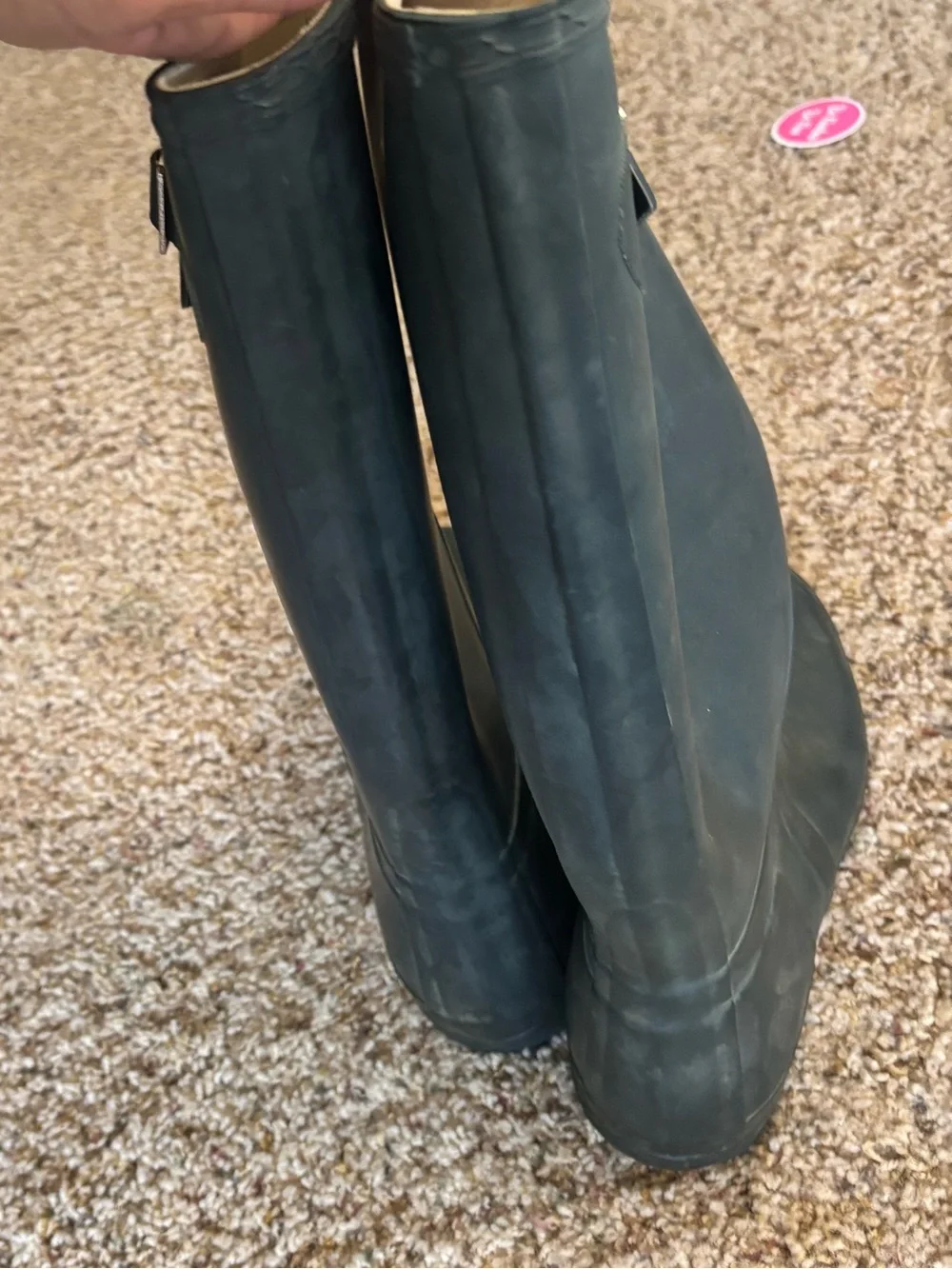 Hunter original tall